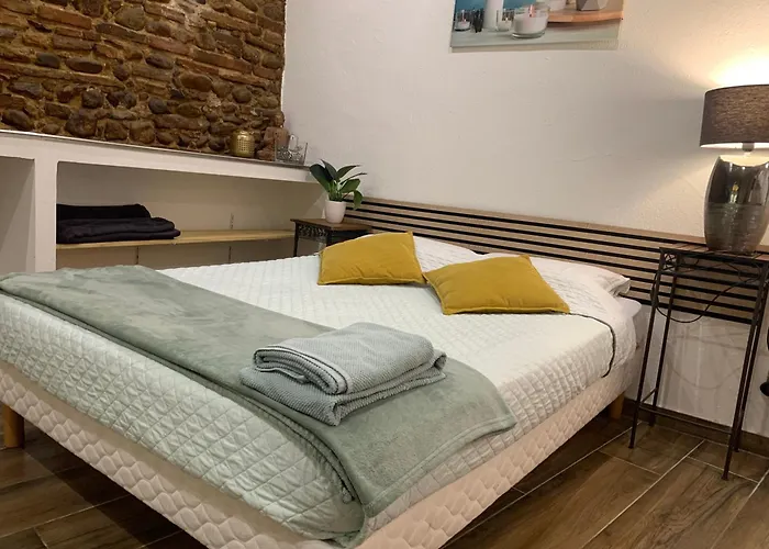 公寓 25m2 En Plein Coeur De 佩皮尼昂